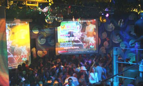 Cancun Mambo Cafe nightclub disco